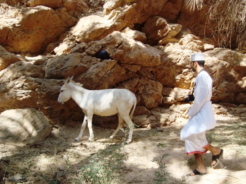 wadi shab (5)