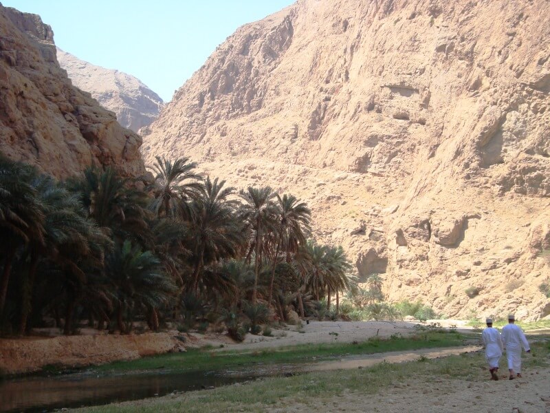 wadi shab (6)