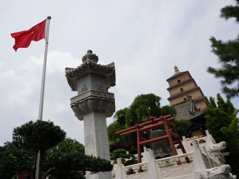 pagoda dell'oca selvatica (2)