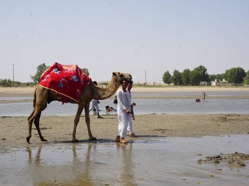 massawa (3)